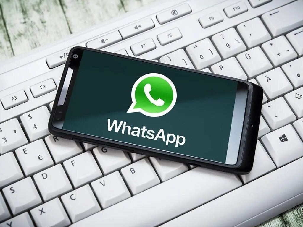 WhatsApp для продаж: в чем его преимущества для бизнеса